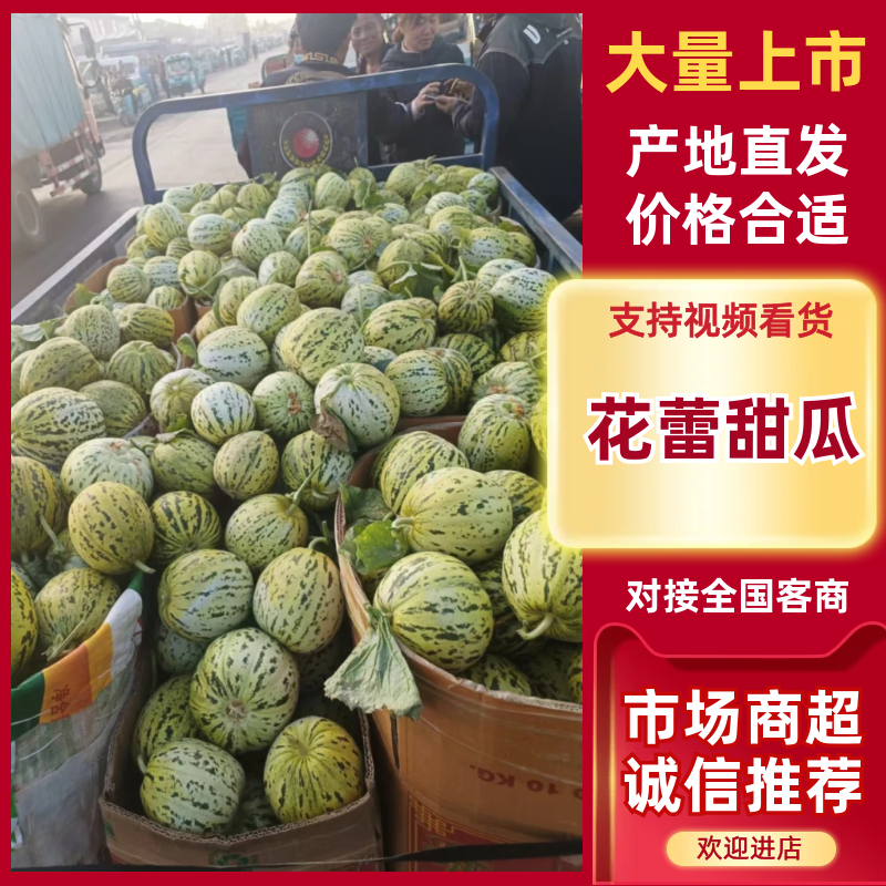 临沂费县花美人花蕾甜瓜电商社区团购市场渠道货大量供应