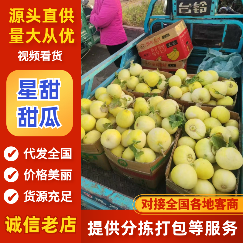 临沂费县星甜甜瓜小密罐成熟了脆甜香口感满满的有需要的联系