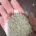 【热销】小包装10斤1袋香米精品大米新米规格齐全