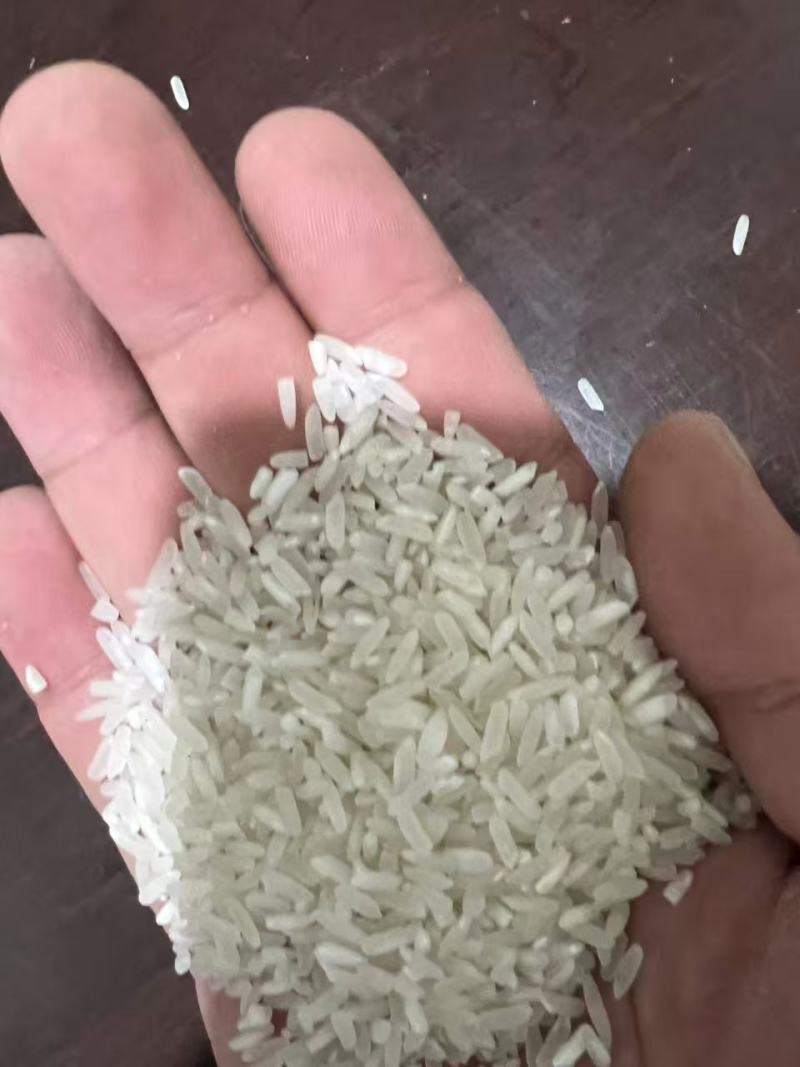 【热销】小包装10斤1袋香米精品大米新米规格齐全