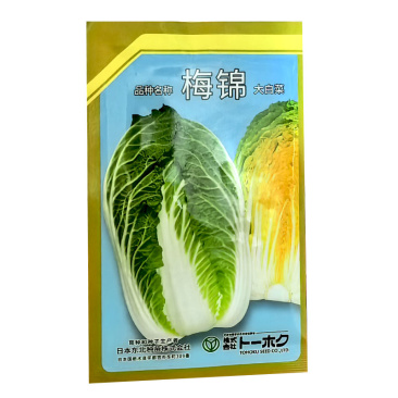 梅锦大白菜种子10g春季大黄心白菜种籽早熟黄芯农播王春