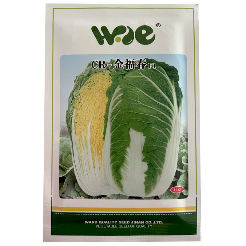 CR金白菜种子春季韩国黄芯春白菜种籽耐寒耐抽早春黄心大白