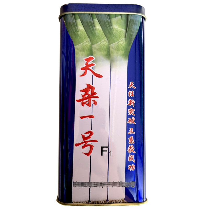 天杂一号杂交长白大葱种子200g山东章丘高白大葱籽耐倒伏