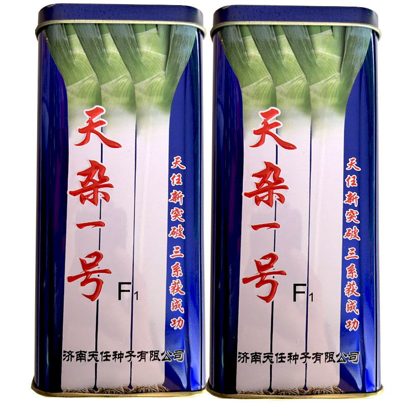 天杂一号杂交长白大葱种子200g山东章丘高白大葱籽耐倒伏