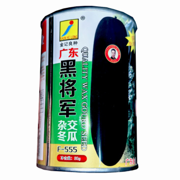 广东黑将军杂交冬瓜种子50g早生抗病耐热耐寒性能强大田基