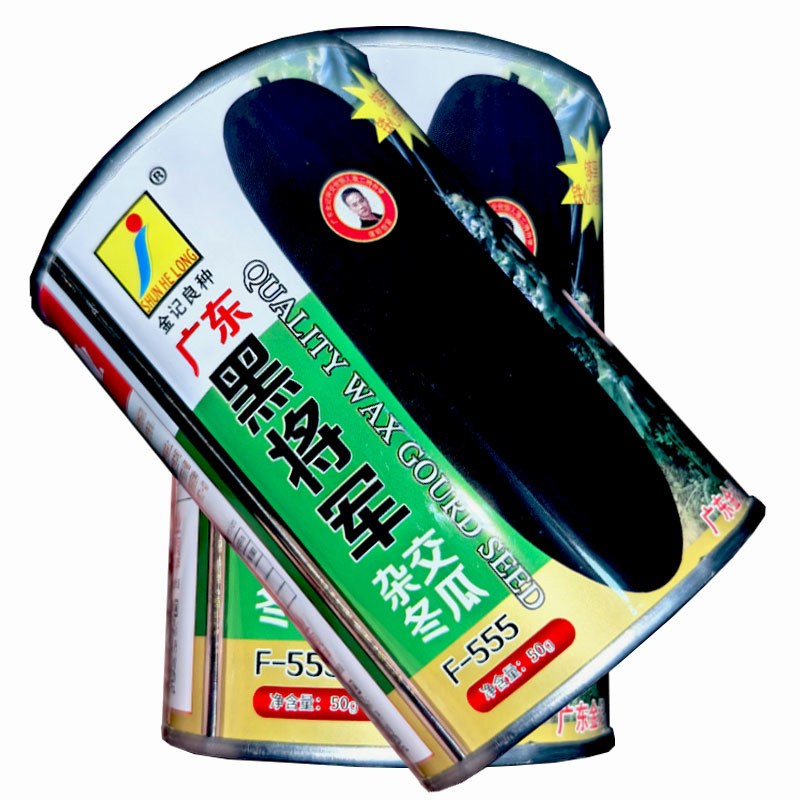 广东黑将军杂交冬瓜种子50g早生抗病耐热耐寒性能强大田基