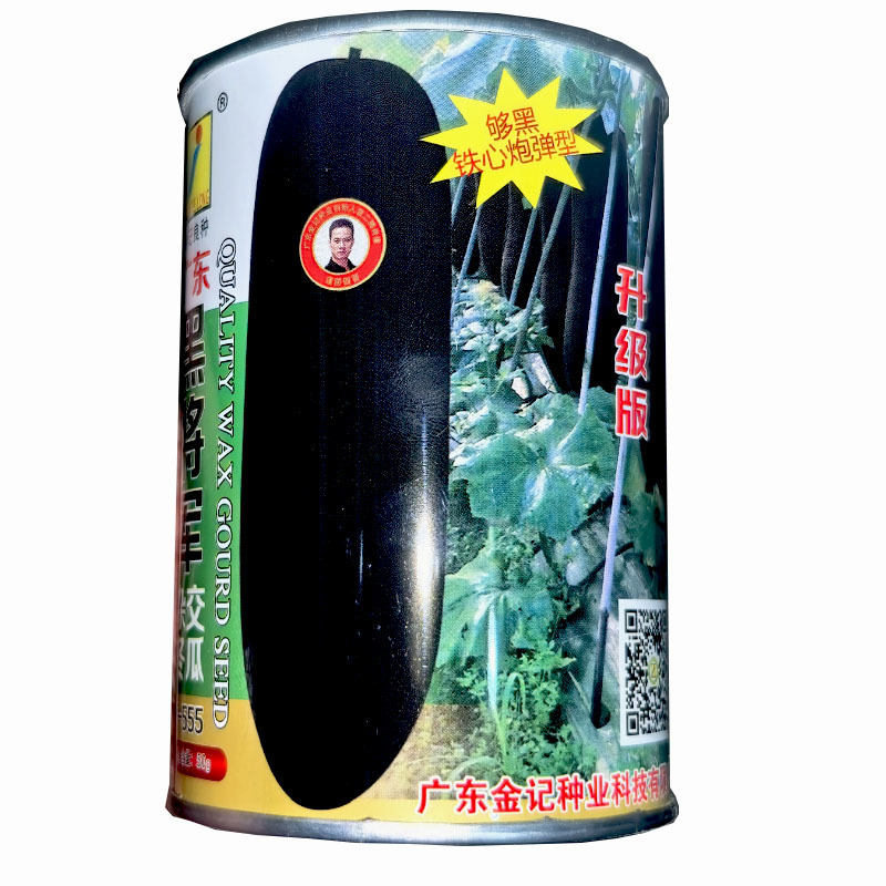 广东黑将军杂交冬瓜种子50g早生抗病耐热耐寒性能强大田基