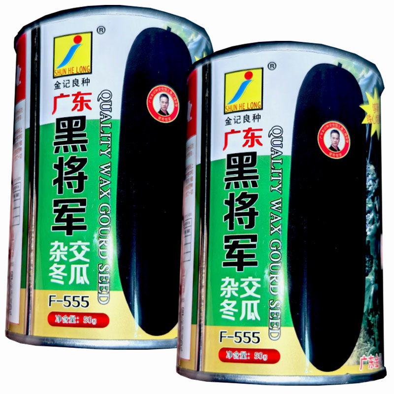 广东黑将军杂交冬瓜种子50g早生抗病耐热耐寒性能强大田基