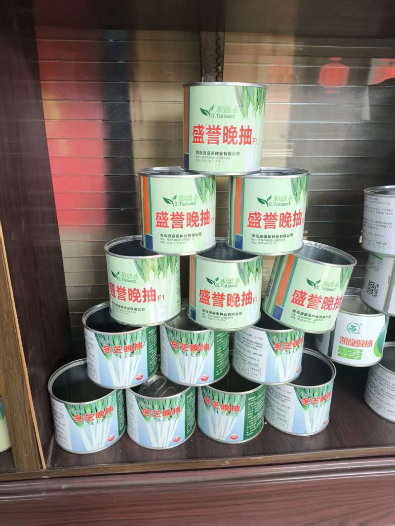 钢葱种子保质保量全程提供技术指导量大优惠