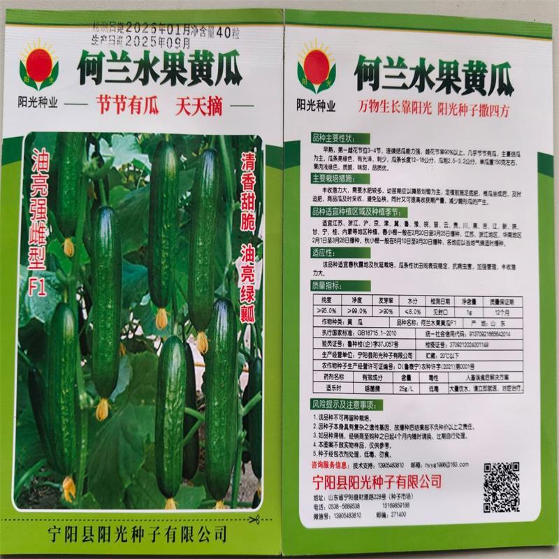 荷兰水果黄瓜种子味道鲜美口感爽脆节节有瓜
