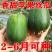 苹果香丝瓜种子杂交肉丝瓜肉厚可生吃的苹果丝瓜种子