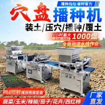 穴盘育苗播种机辣椒蔬菜花卉南瓜种子全自动滚筒流水线育苗