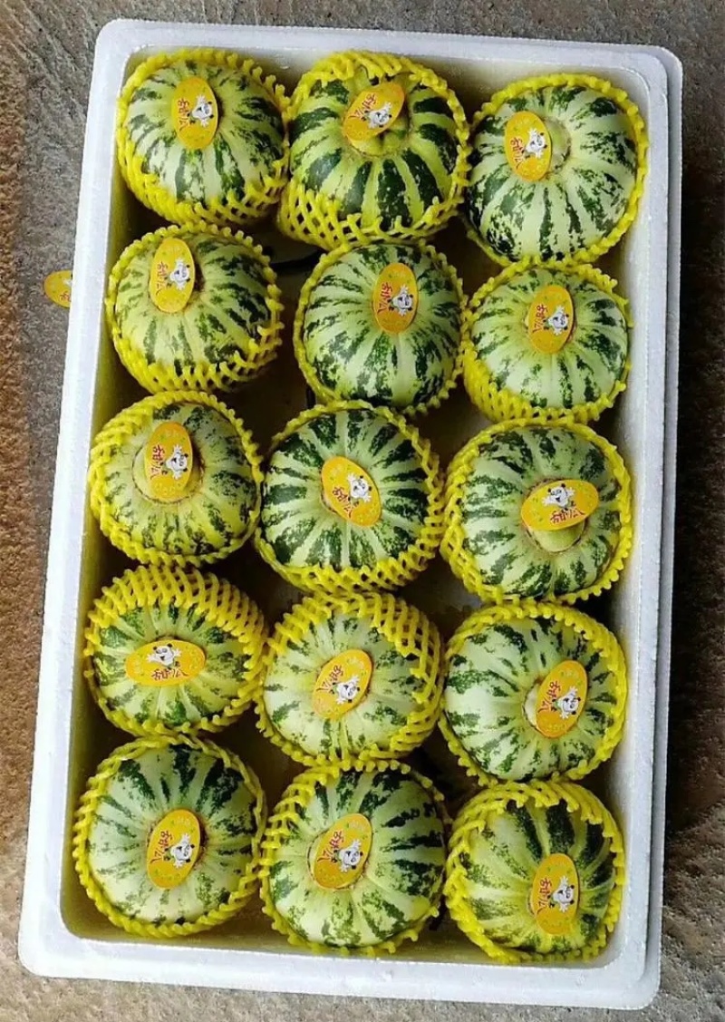 【精选】花蕾甜瓜花美人山东花蕾甜瓜包熟对接全国市场
