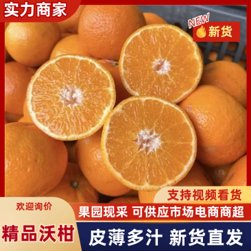 【精选】沃柑云南宾川县沃柑产地一手货源保质保量