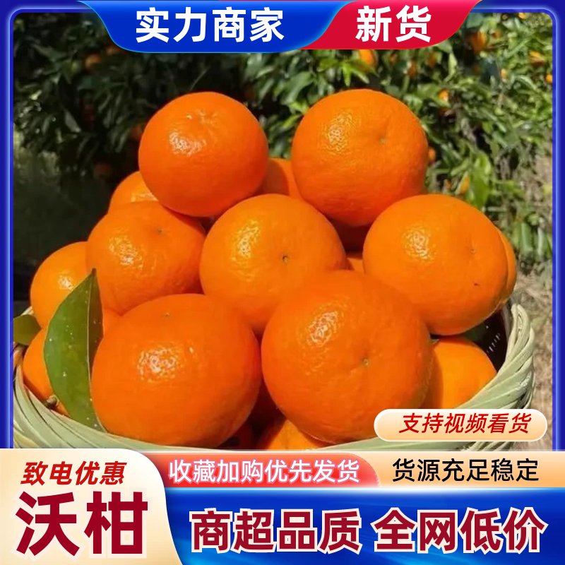 【推荐】沃柑精品沃柑果园直采对接电商市场社区团购