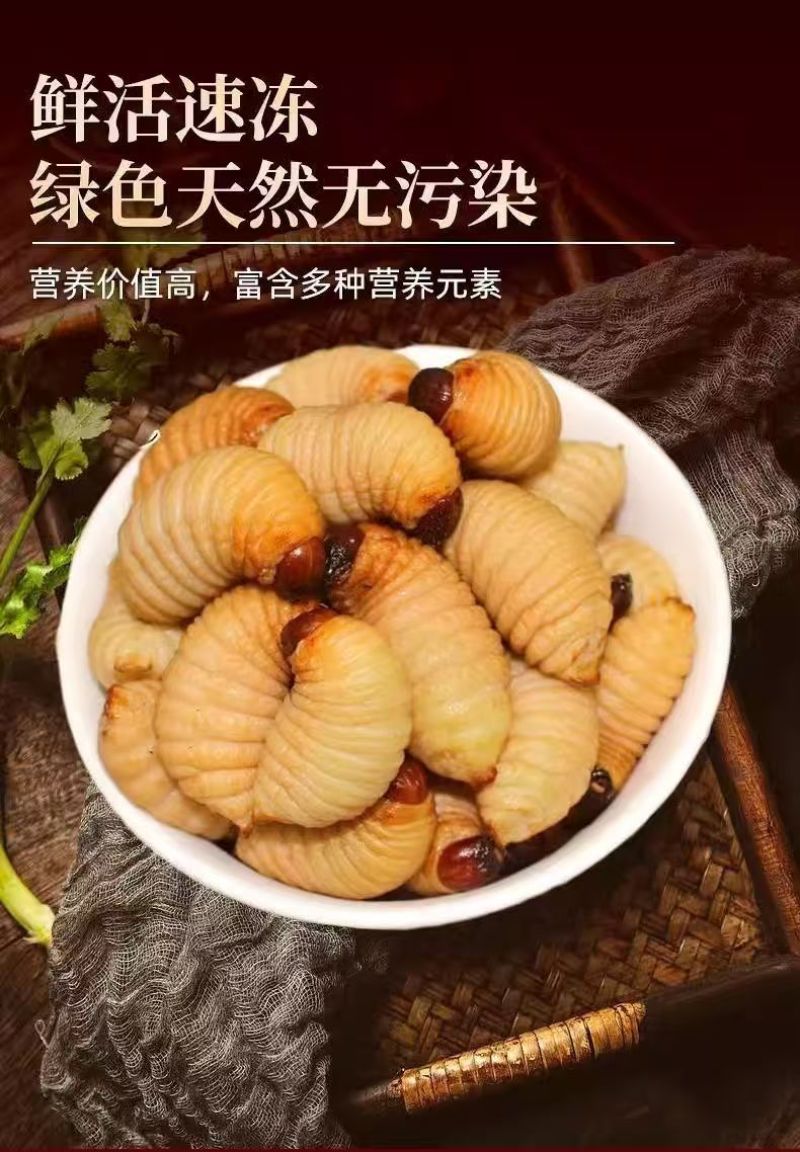 鲜活竹笋虫广东养殖基地直供质量保证货源充足欢迎订购