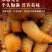鲜活竹笋虫营养价值高人工养殖质量保证货源充足全国发货