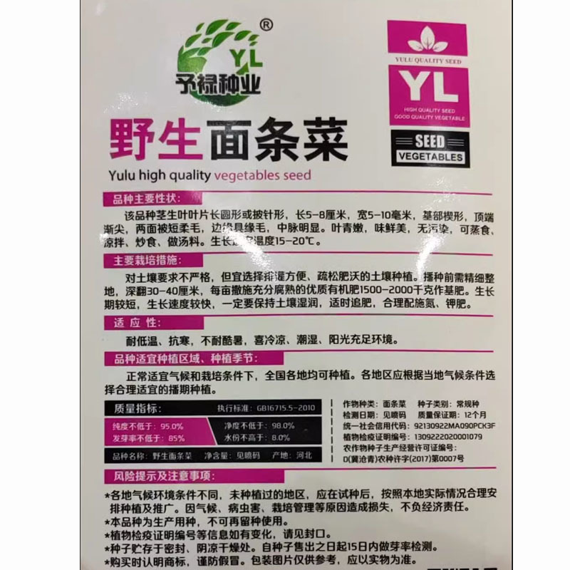 野菜种子～新收面条菜种子芽率保证人们都爱吃的野菜种子品种