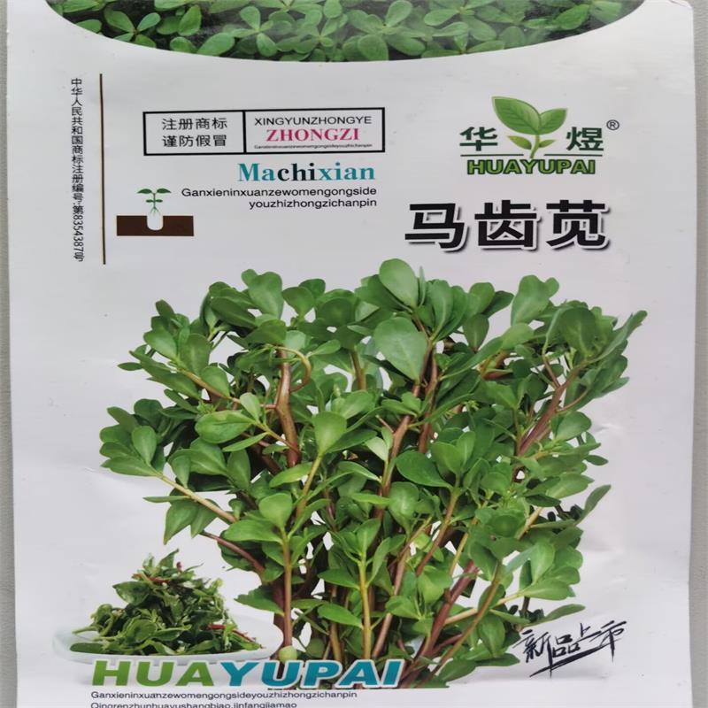 野菜种子批发马齿苋种子价格植株高大直立