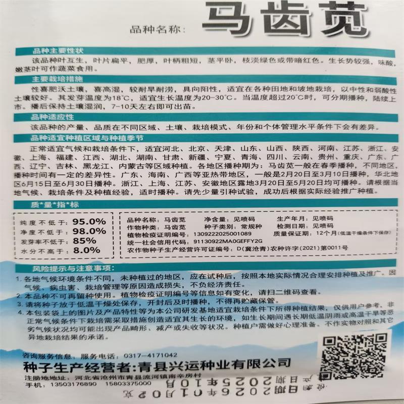 野菜种子批发马齿苋种子价格植株高大直立
