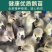 灰鹅苗大种灰鹅苗厂家直销防疫齐全一手货源没有中间商