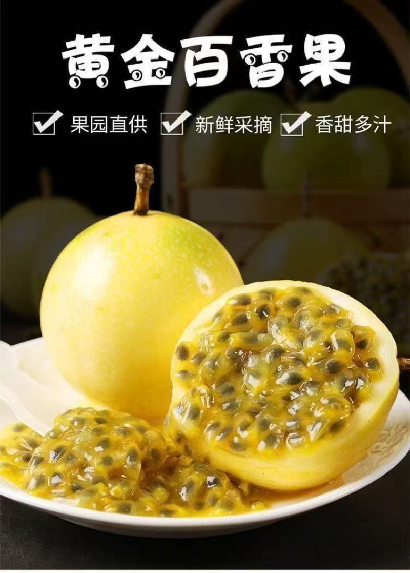 【一件代发集采外贸出口】钦蜜9号黄金百香果