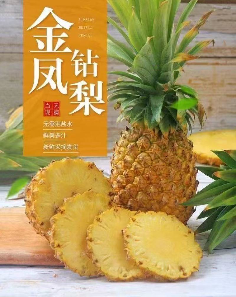 【整柜出口集采一件代发】海南金钻凤梨