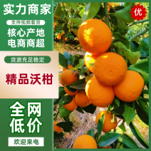 【推荐】沃柑产地直发皮薄多汁量大优惠对接全国等