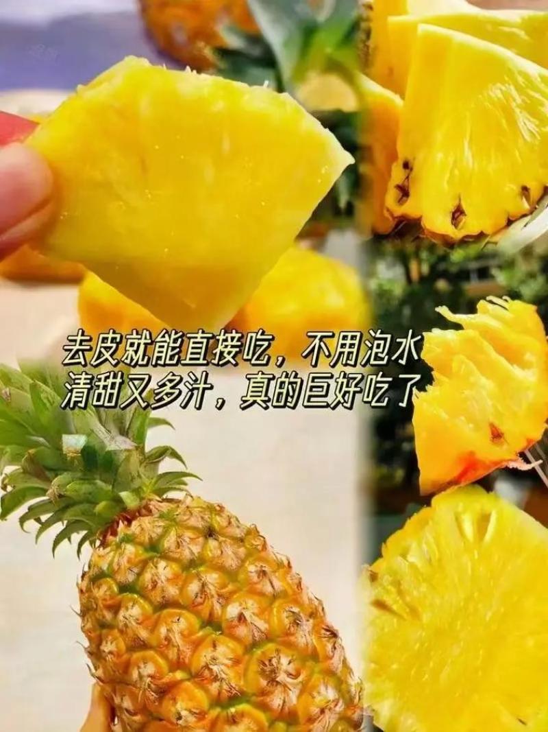 云南菠萝精品无眼凤梨全国发货量大价优可视频看货
