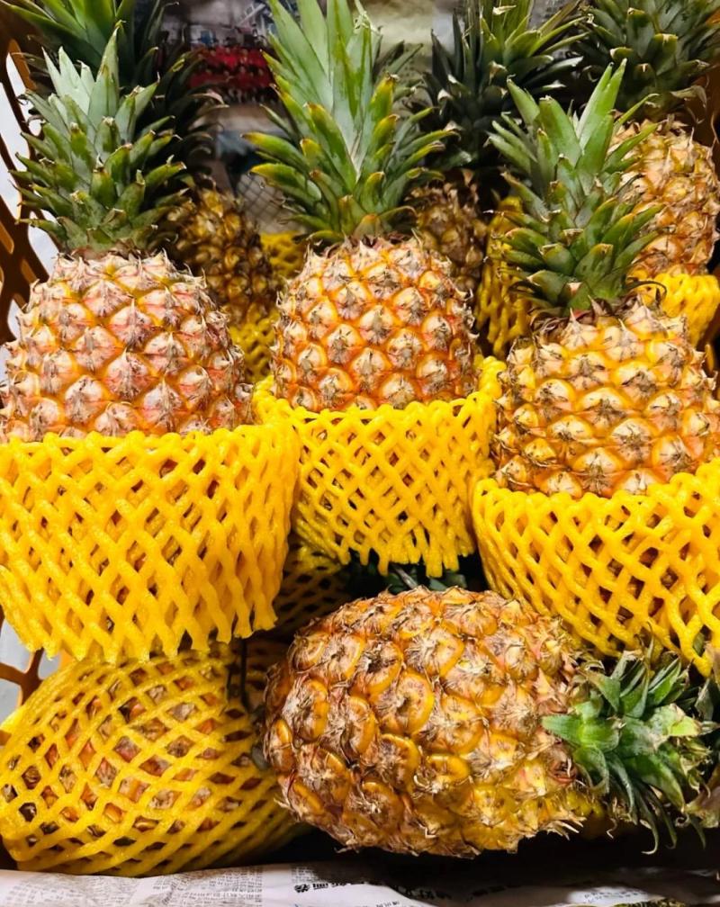云南菠萝精品无眼凤梨全国发货量大价优可视频看货