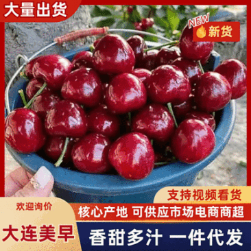 美早樱桃大量上市可批发可零售批承接团购电商全国发货