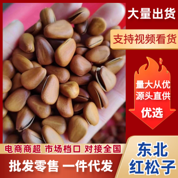 【牛商】松子红松子开口松物美价廉品质保证大颗粒精心挑选