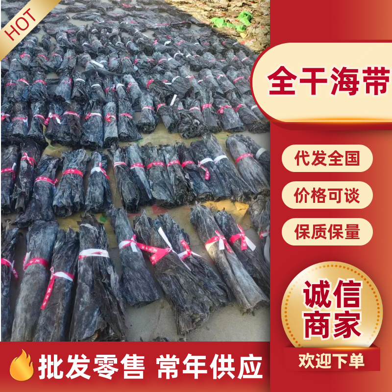 山东海带头/荣成全干海带头/赶大集摆地摊批发零售专用