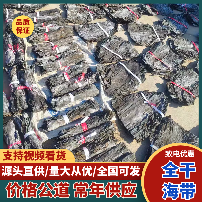 《山东海带》干海带海带头/烘干海带/现晒优质海带