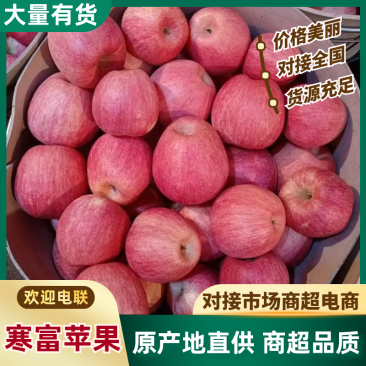 辽宁绥中寒富苹果大量上市，有需要的客户前来采购。