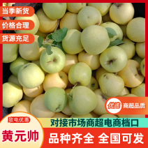 辽宁苹果精品黄元帅苹果产地直供现摘现发品种齐全