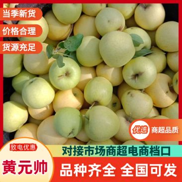 辽宁苹果精品黄元帅苹果产地直供现摘现发品种齐全