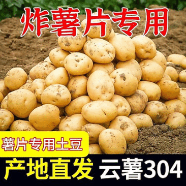 云薯304/云南高原土豆/黄心黄皮【炸薯片炸薯条专用】