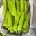 精品黄皮辣椒一块5大量有货质量保证量大从优欢迎咨询