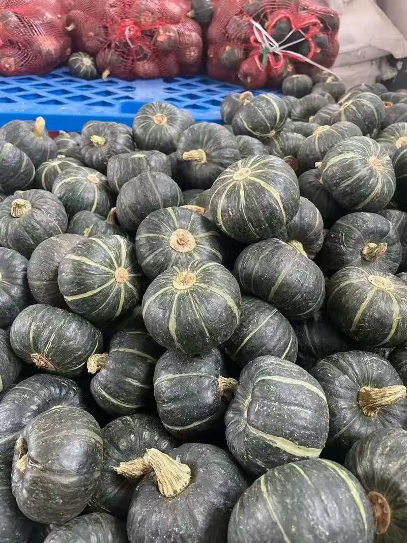 贝贝南瓜品质保证服务周到产地直发价格美丽