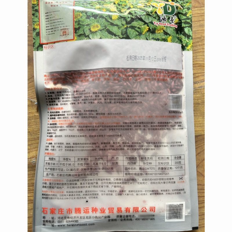 腾运S360矮大头油葵种子200g矮杆独头大盘油用向日葵