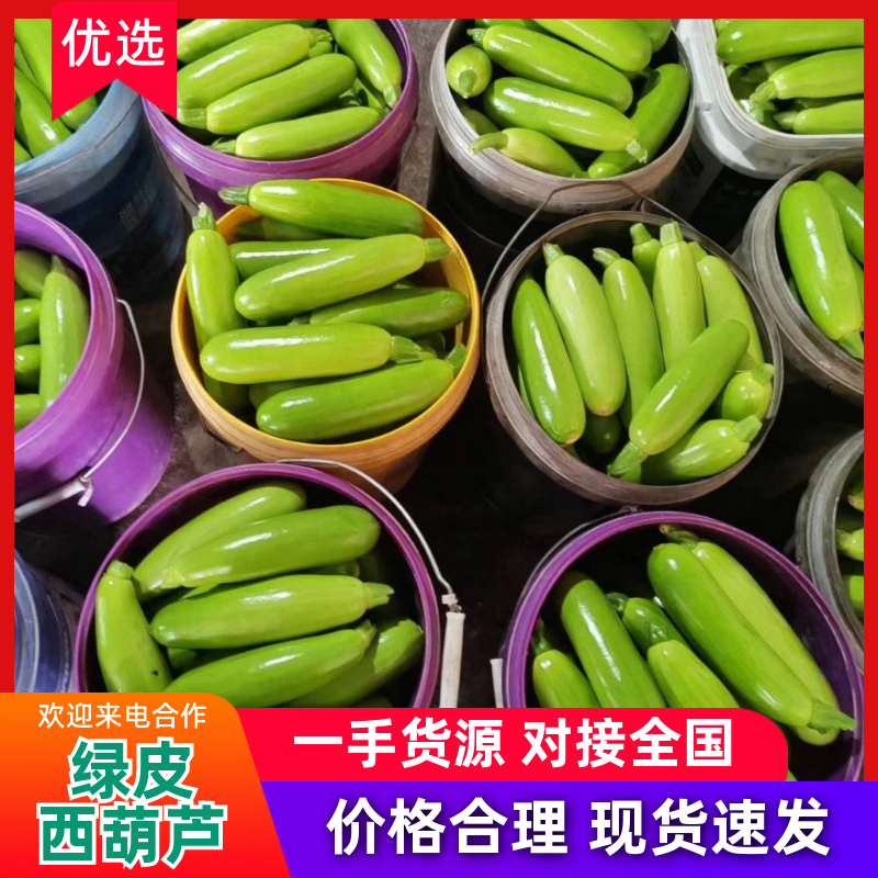 精品西葫芦，绿皮油亮西葫芦，大量现货保质保量，商超市场可