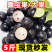 万亩嘉宝果树葡萄基地常年供应社区电商商超档口