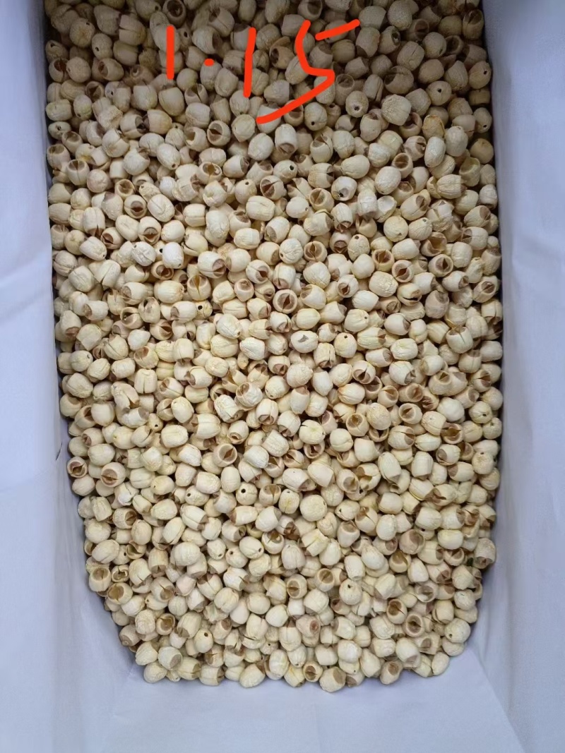 精选江西红莲全新精选大圆莲产地直发品质保障对接全国等