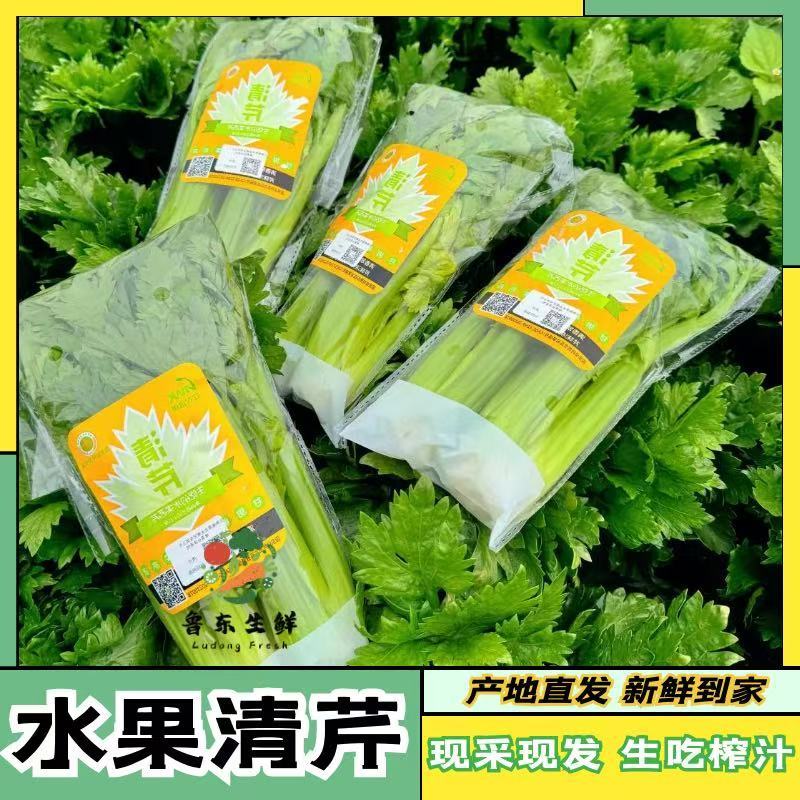 【精品清芹】当季蔬菜吃沙拉凉拌炒菜