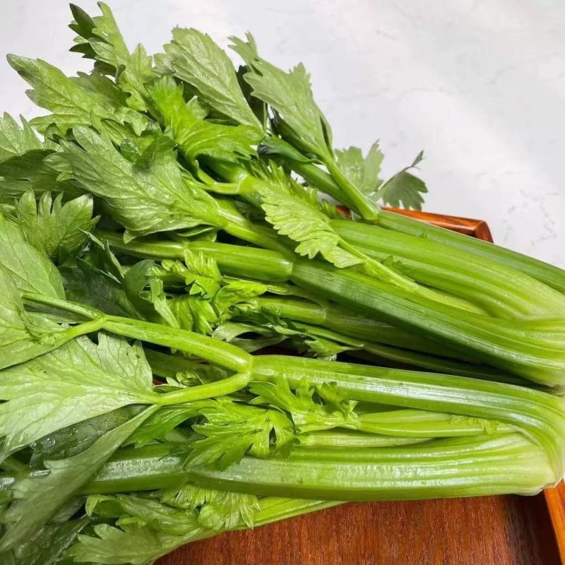 【精品清芹】当季蔬菜吃沙拉凉拌炒菜