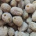 阿姣蜜枣无核软蜜包粽子枣糕用蜜枣厂家供应