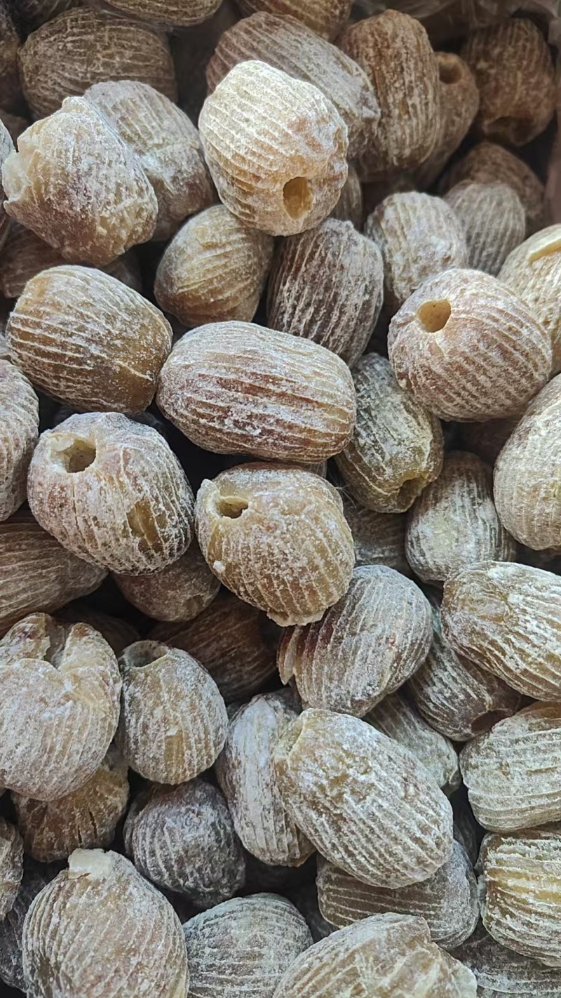 阿姣蜜枣无核软蜜包粽子枣糕用蜜枣厂家供应