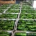 【301辣椒】江苏大量现货质量保证价格美丽欢迎订购