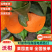 云南沃柑基地直供现摘现发规格齐全，视频看货对接市场批发商
